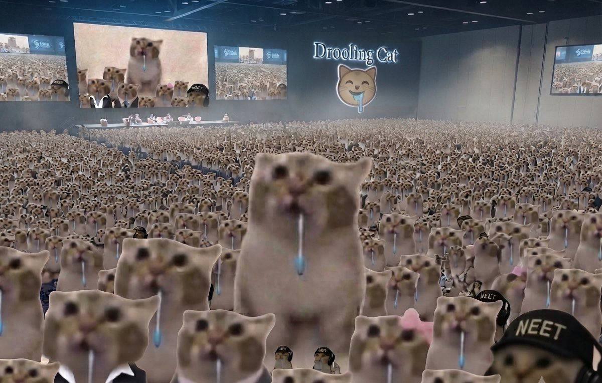 An arena packed with thousands of drooling cats