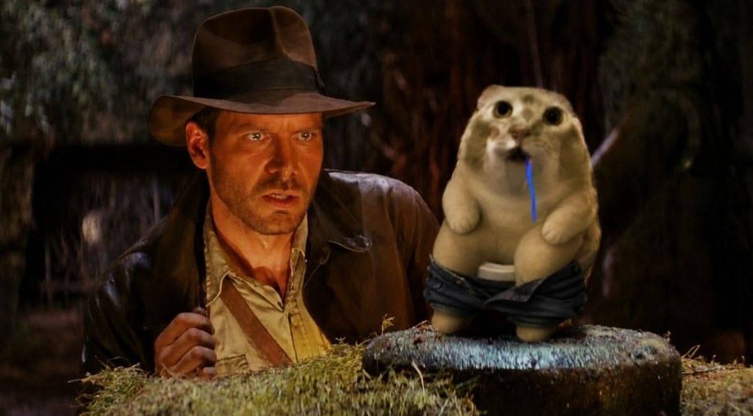Indiana Jones and the drooling cat